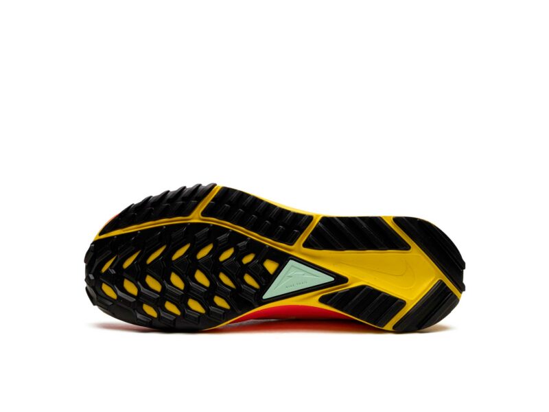 nike pegasus trail 4 gore-tex DJ7926_500 купить